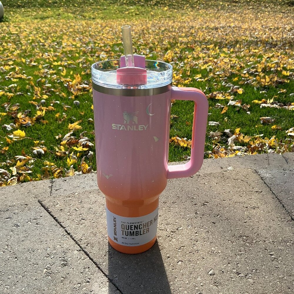 NWT Stanley 2025 Halloween 40oz Quencher Tumbler Spellcast Pink